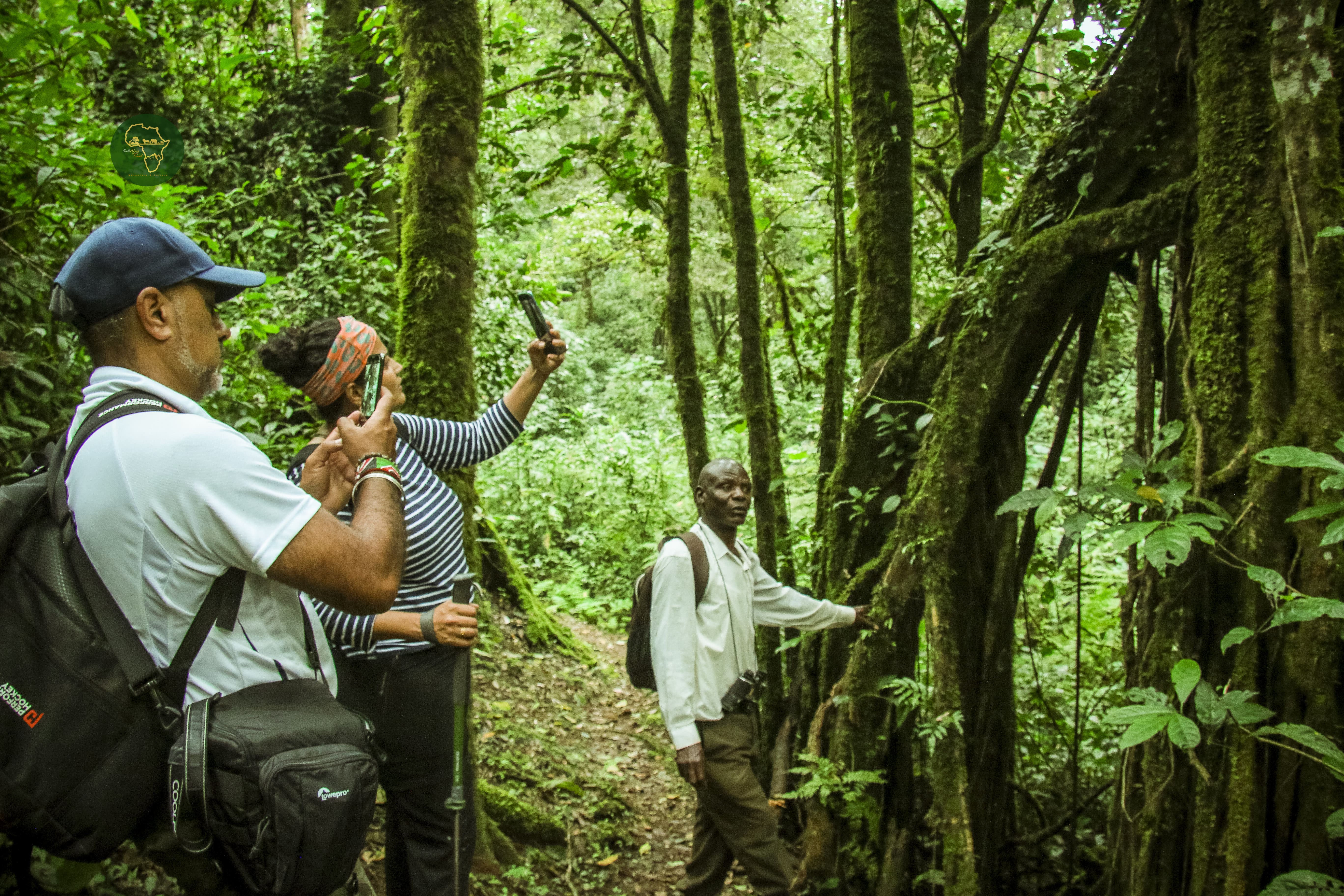 Kakamega Forest Photography Tour
