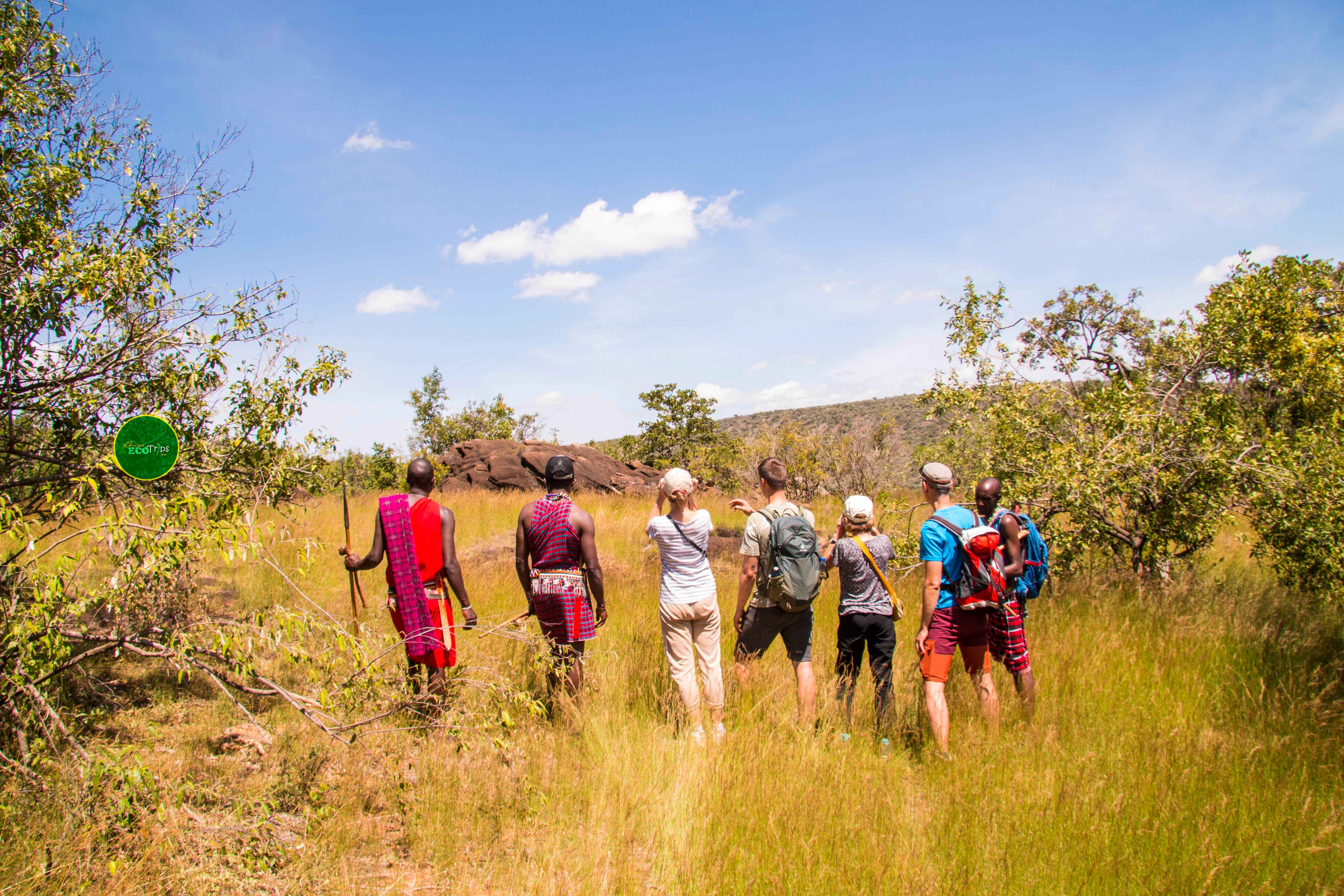 Safari Trips